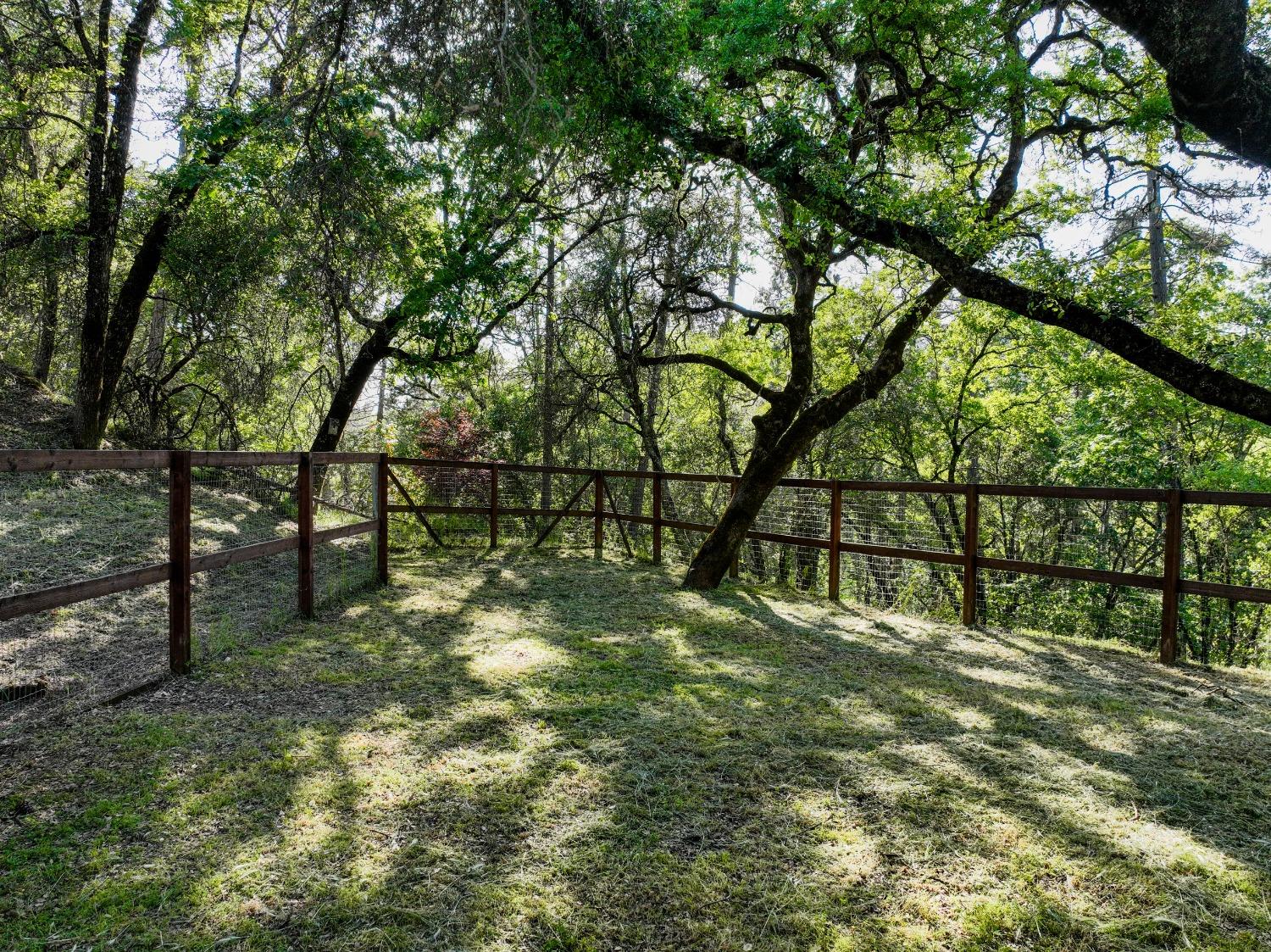 Tom Ray Dr, Grass Valley, California image 44