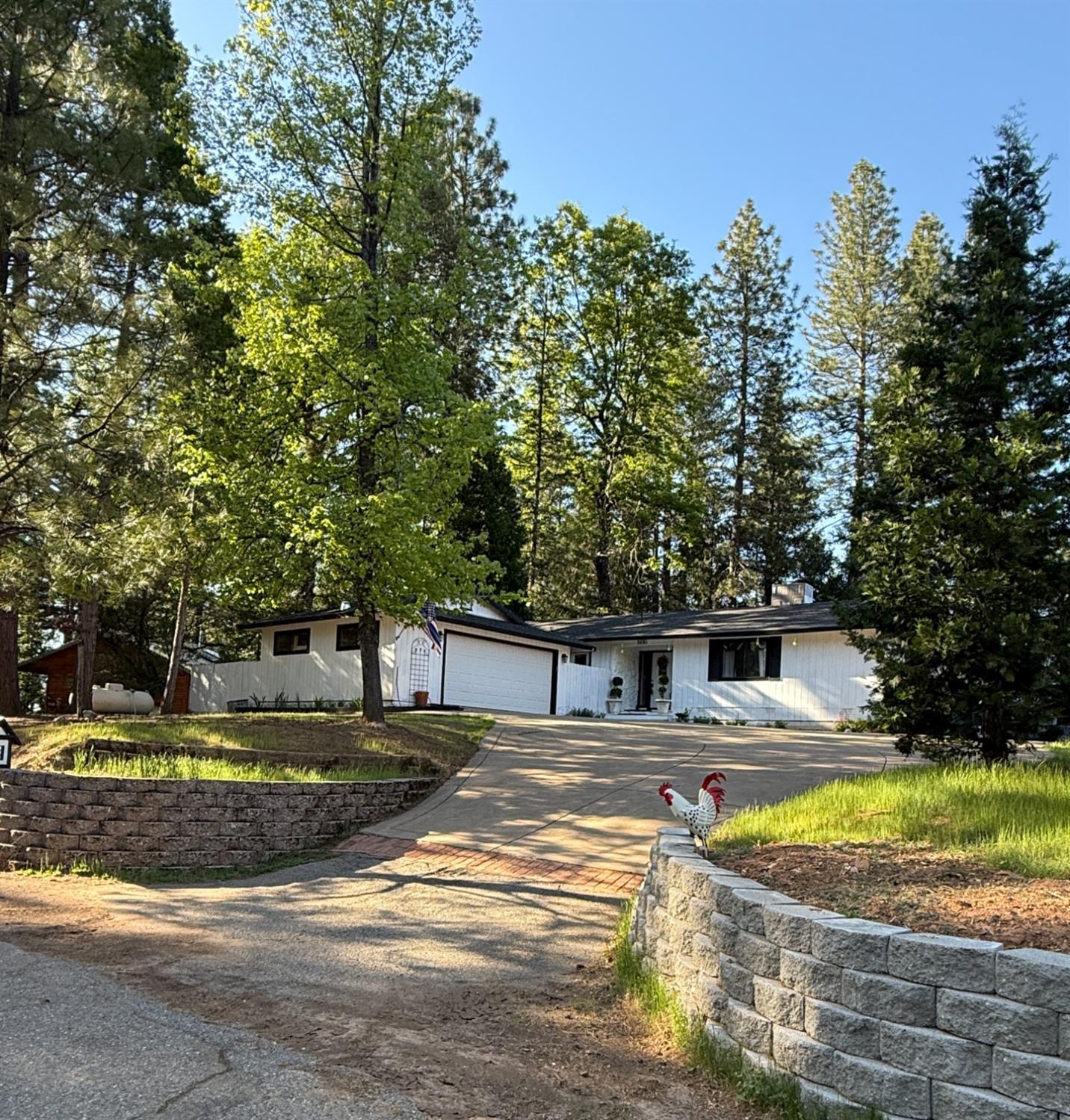 Daisy Circle, Pollock Pines, California image 31
