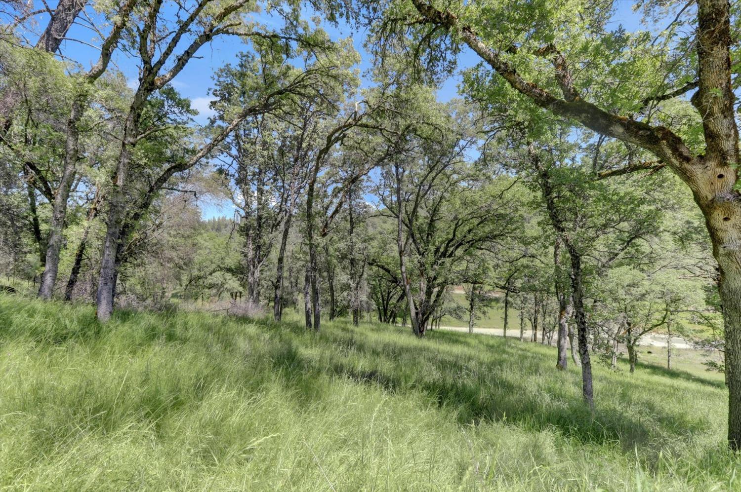 Retherford Road, Grass Valley, California image 40
