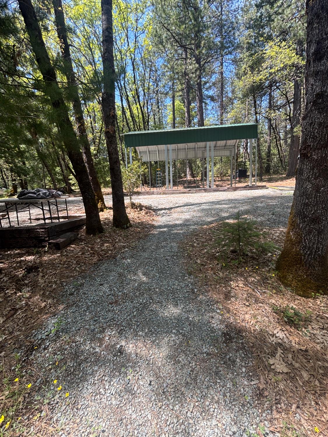 Blue Tent School Road, Nevada City, California image 12