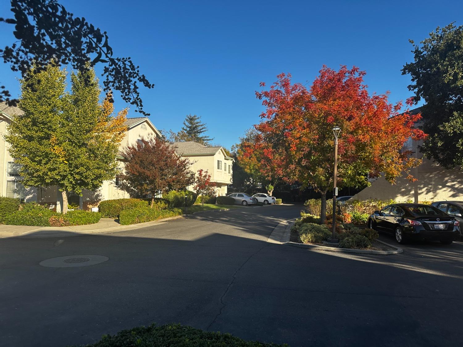 Greene Terrace, Davis, California image 6