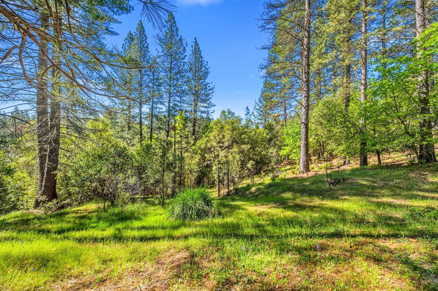 Detail Gallery Image 63 of 79 For 16080 Mount Whitney Dr, Fiddletown,  CA 95629 - 3 Beds | 2 Baths