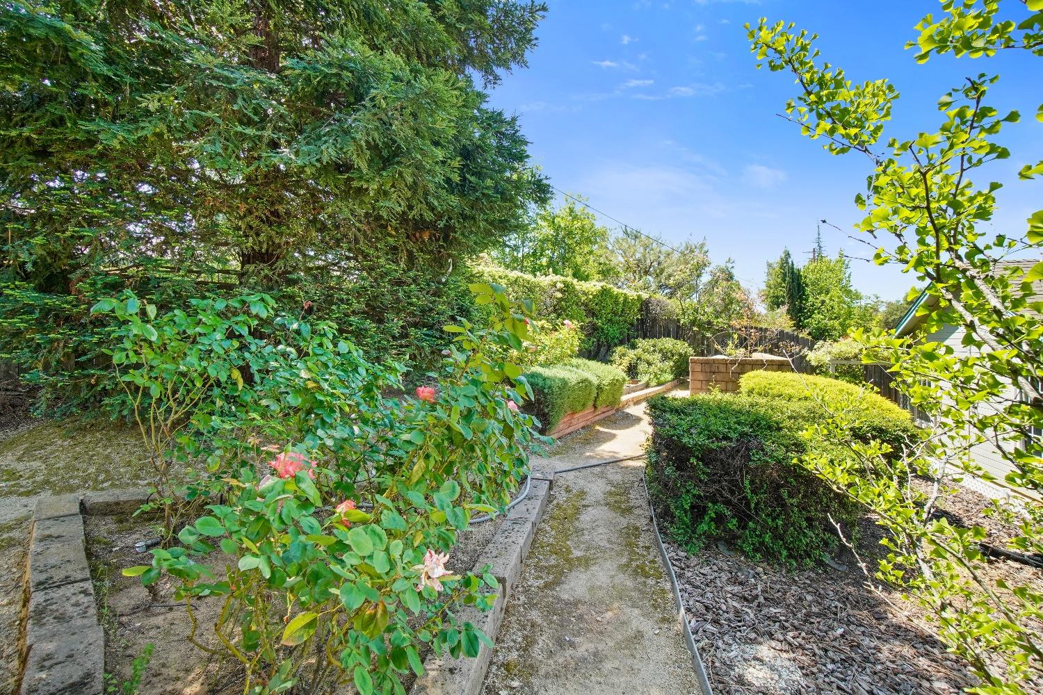 Carla Drive, Placerville, California image 35