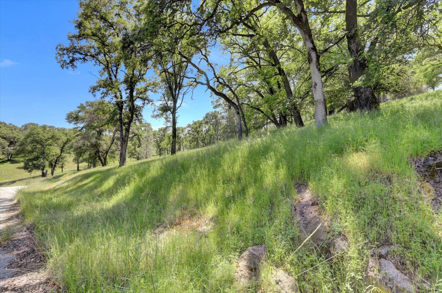Retherford Road, Grass Valley, California image 37