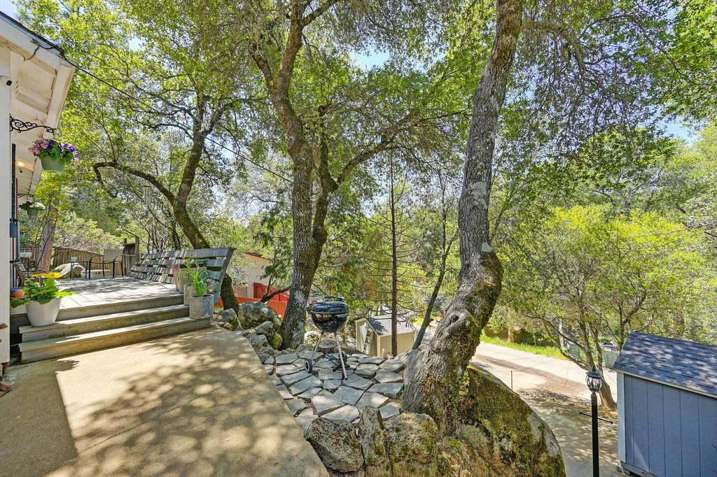 Pigeon Trail, River Pines, California image 5