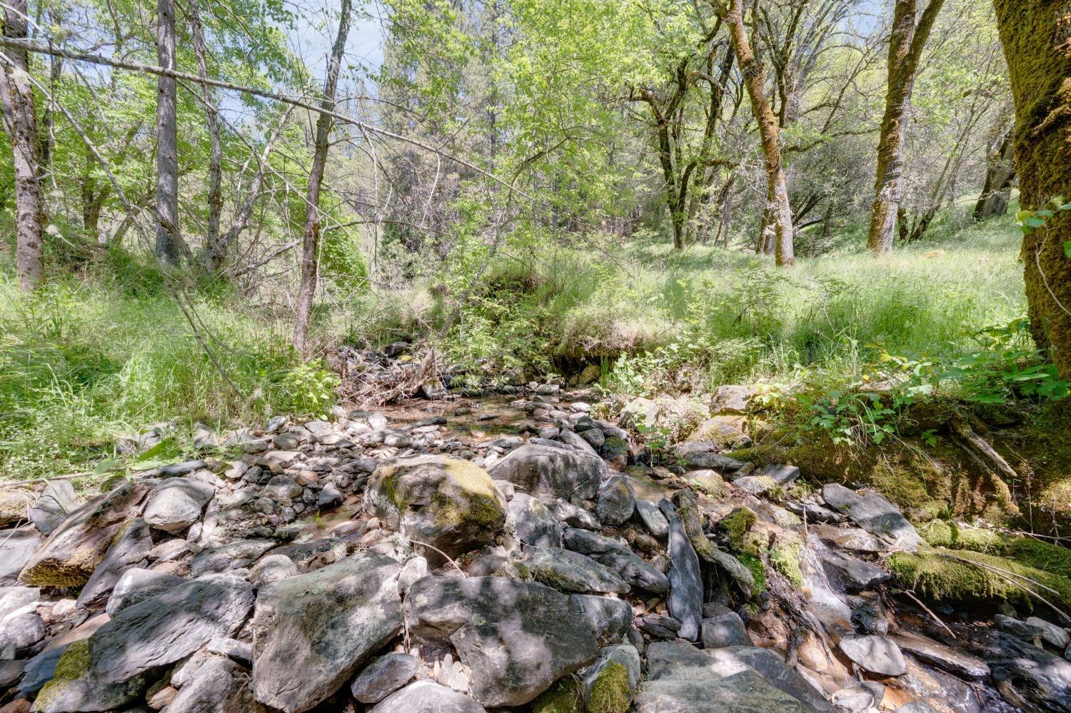 Laurel Canyon Road, Sutter Creek, California image 36