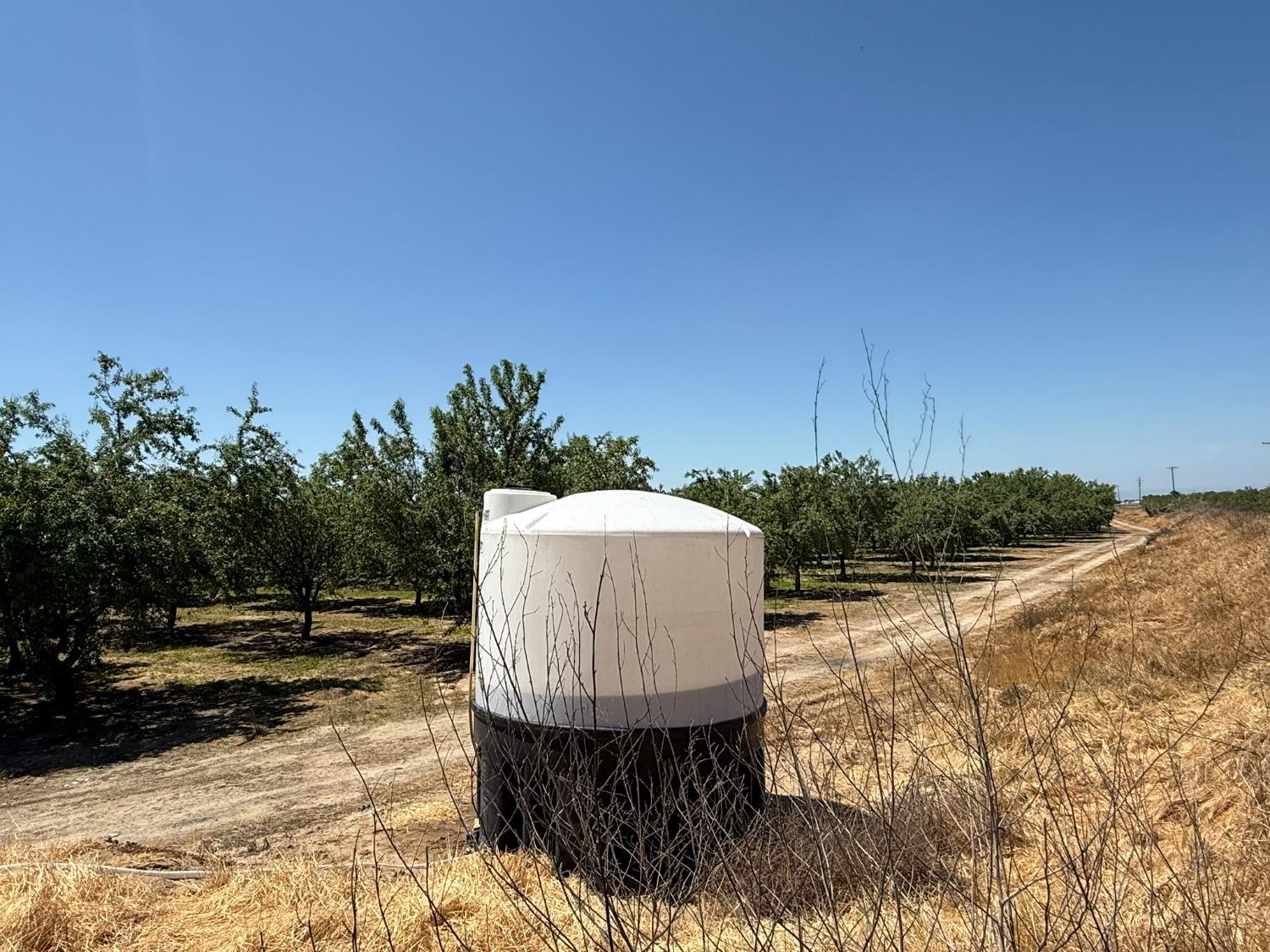 Sunset, Livingston, California image 19