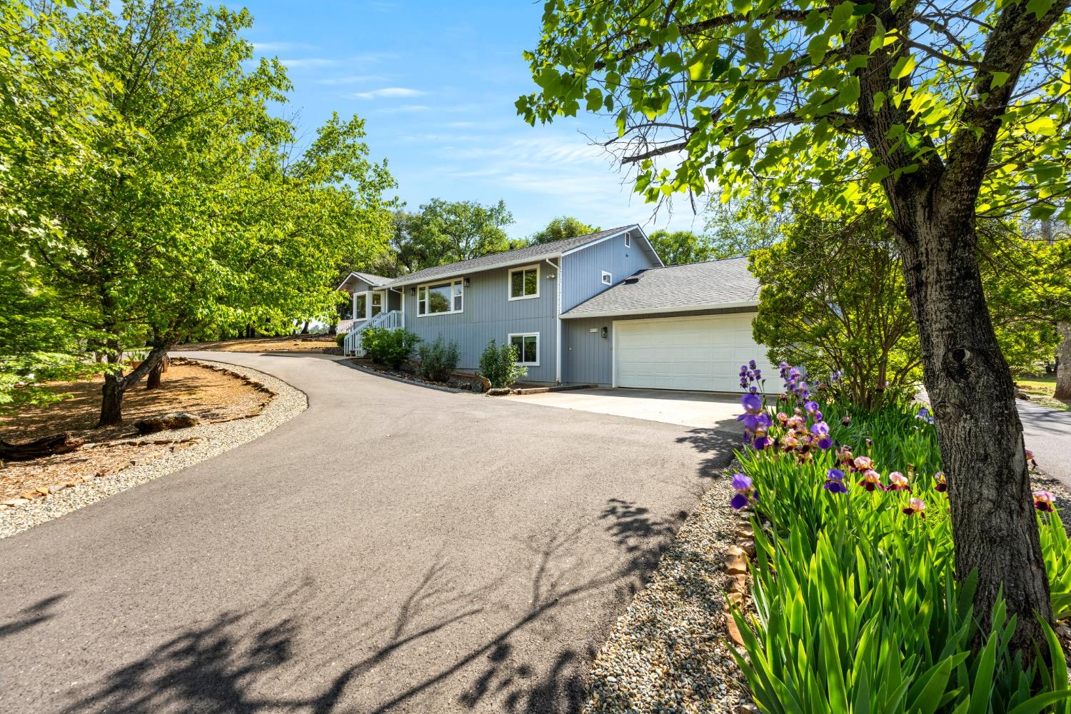 Studebaker Road, Placerville, California image 1