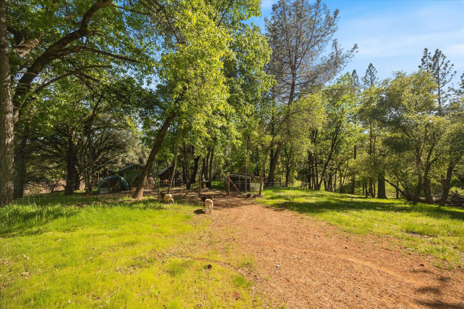 Kruk Trail, Placerville, California image 46
