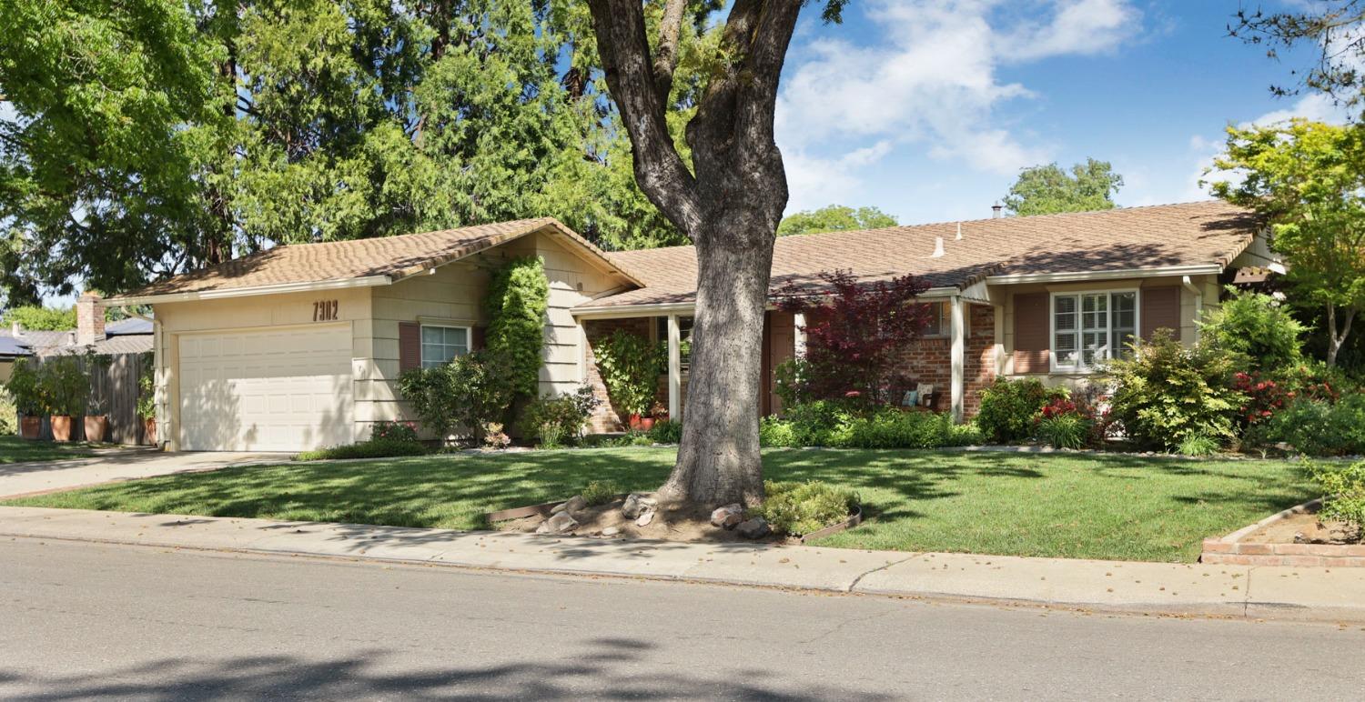 Coral Lane, Stockton, California image 3