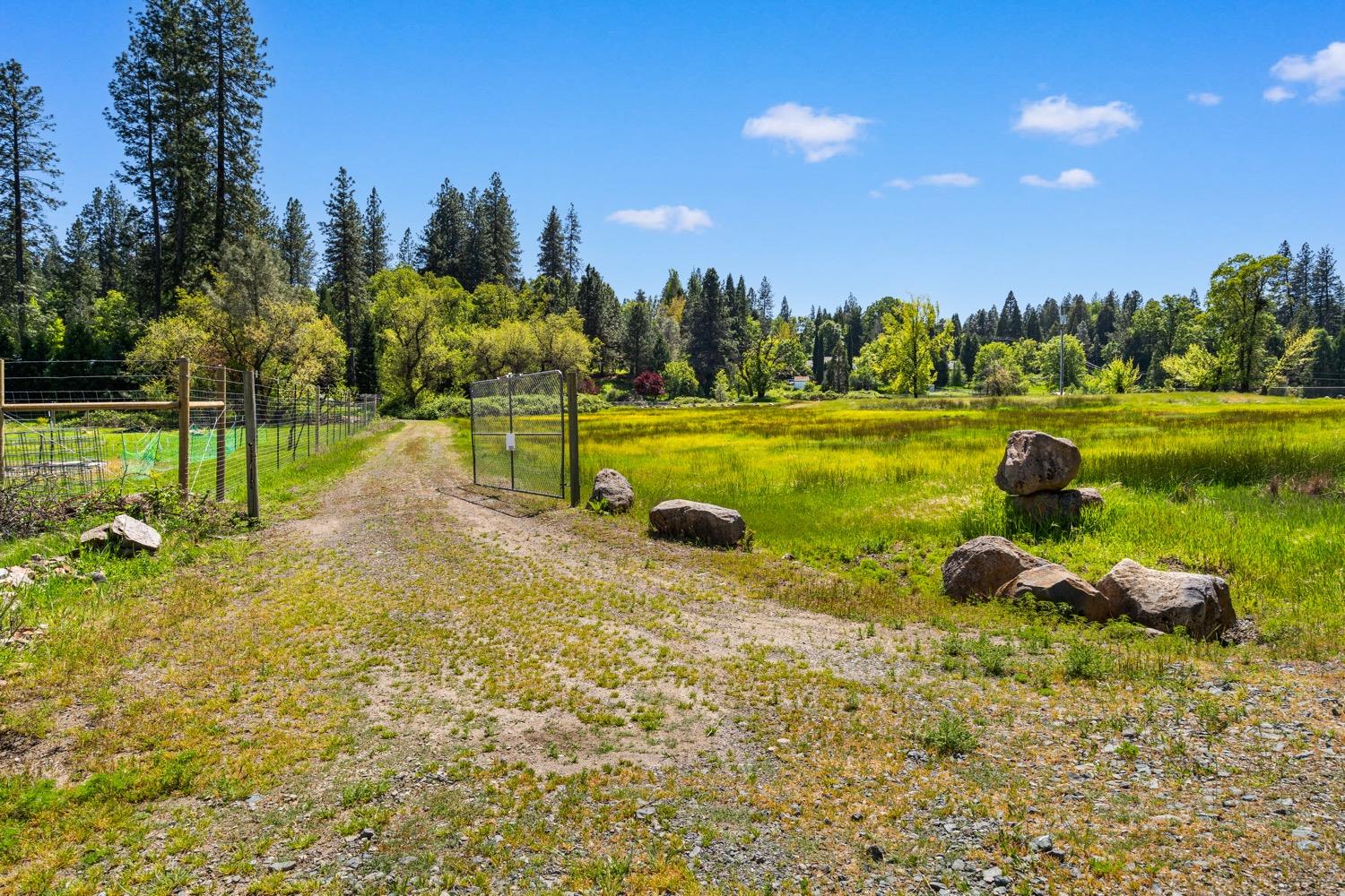 Detail Gallery Image 1 of 1 For 12711 Davis Lane, Nevada City,  CA 95959 - – Beds | – Baths