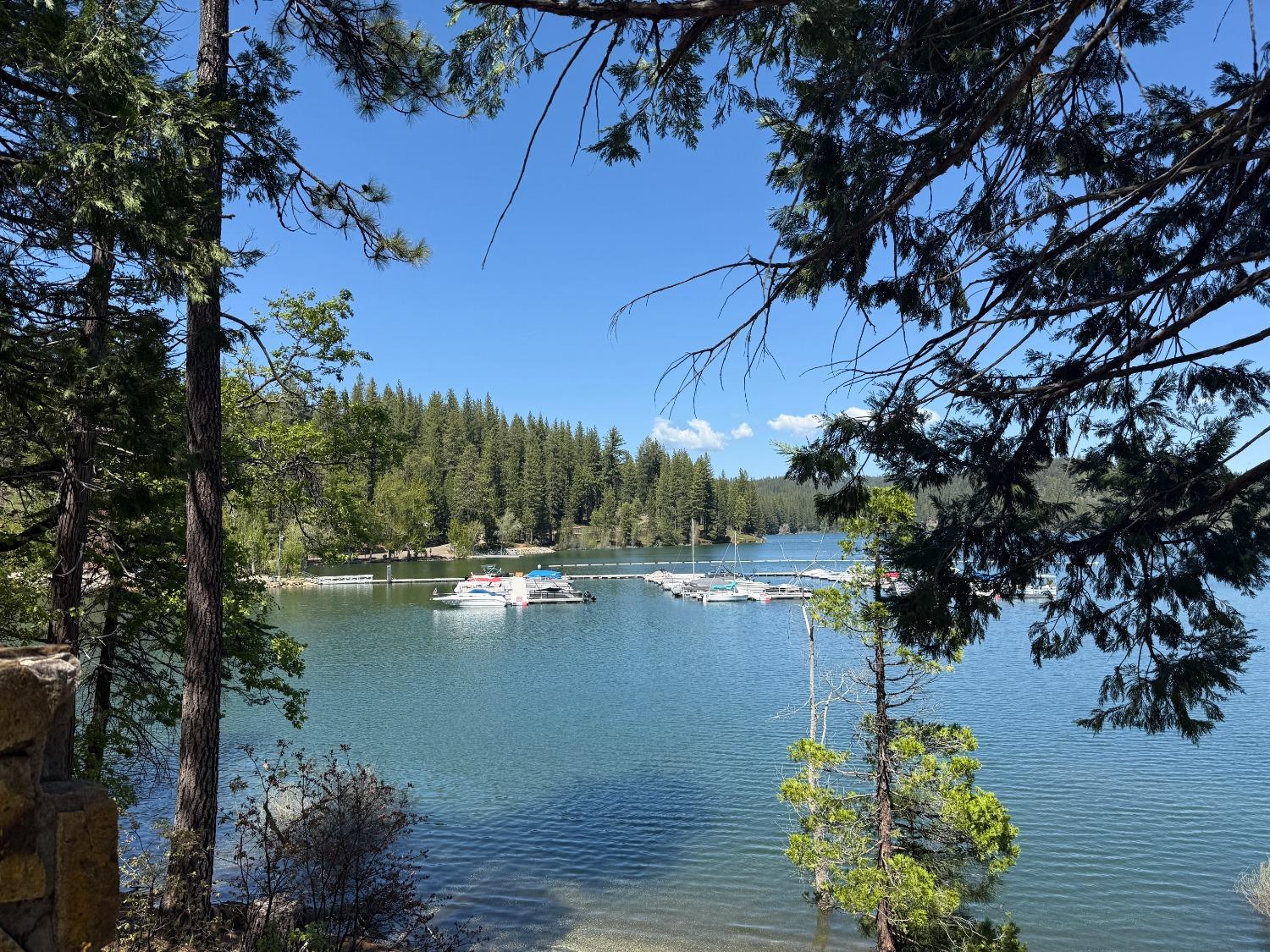Daisy Circle, Pollock Pines, California image 30