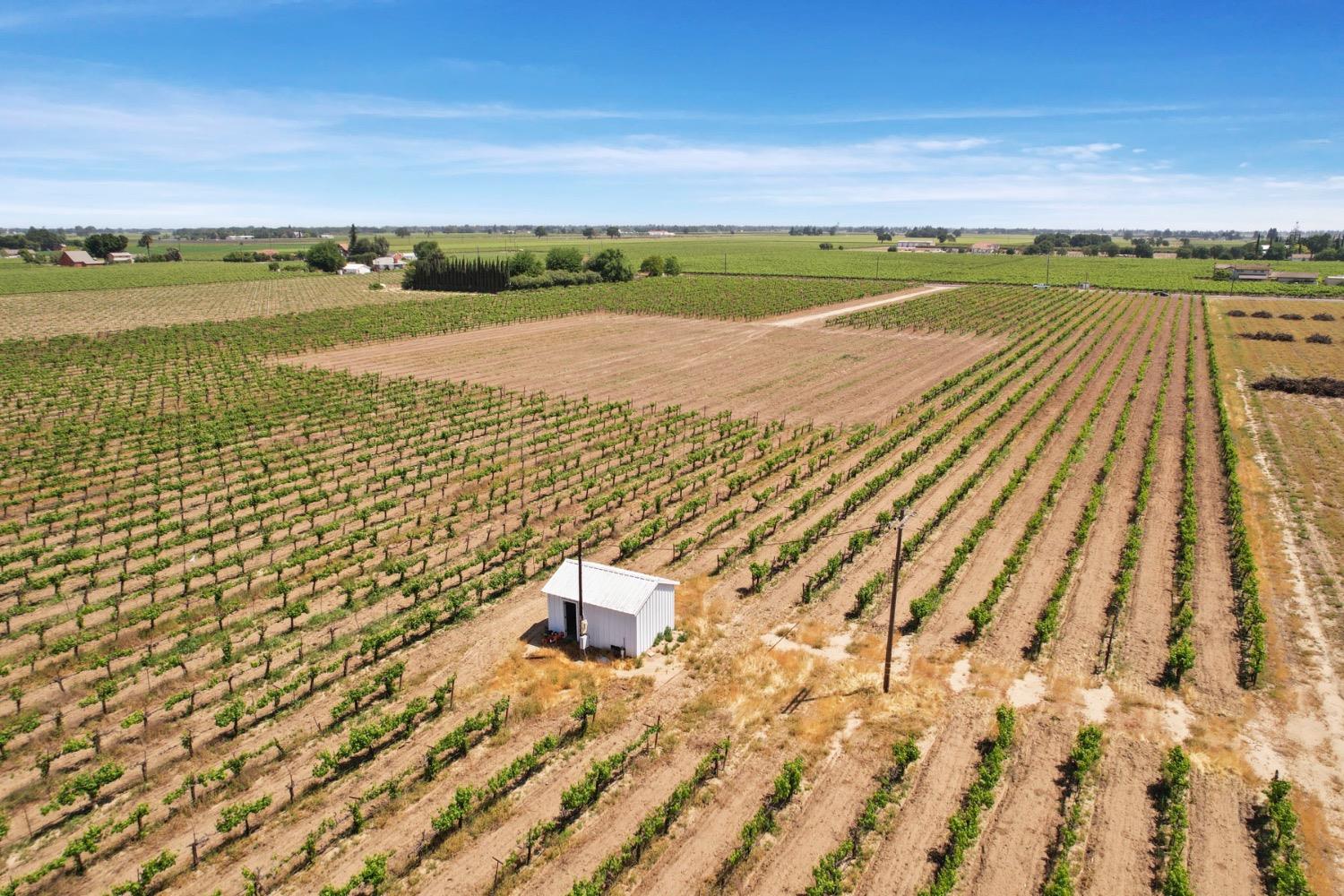 Devries, Lodi, California image 8