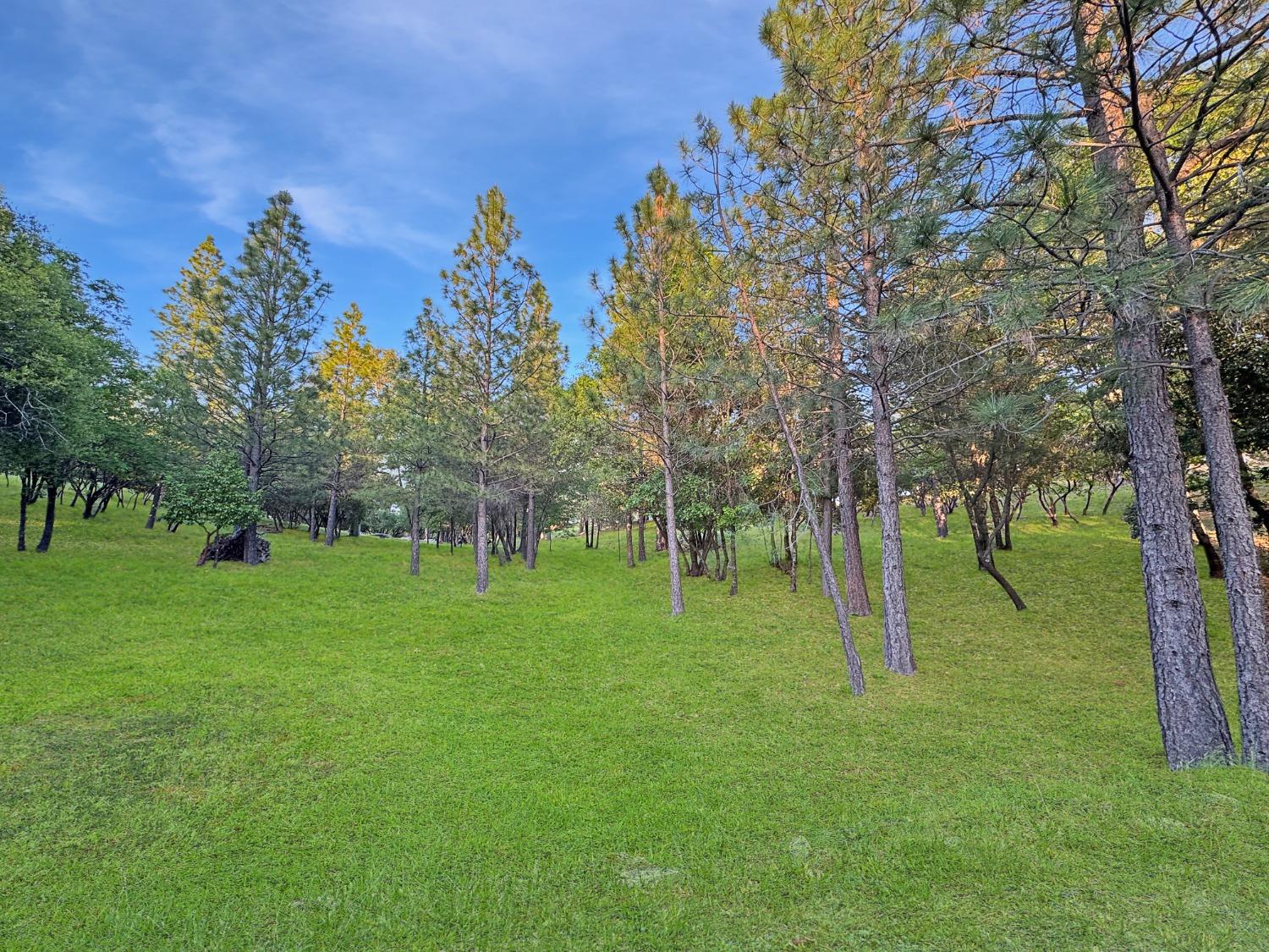Birchville Road, Nevada City, California image 29