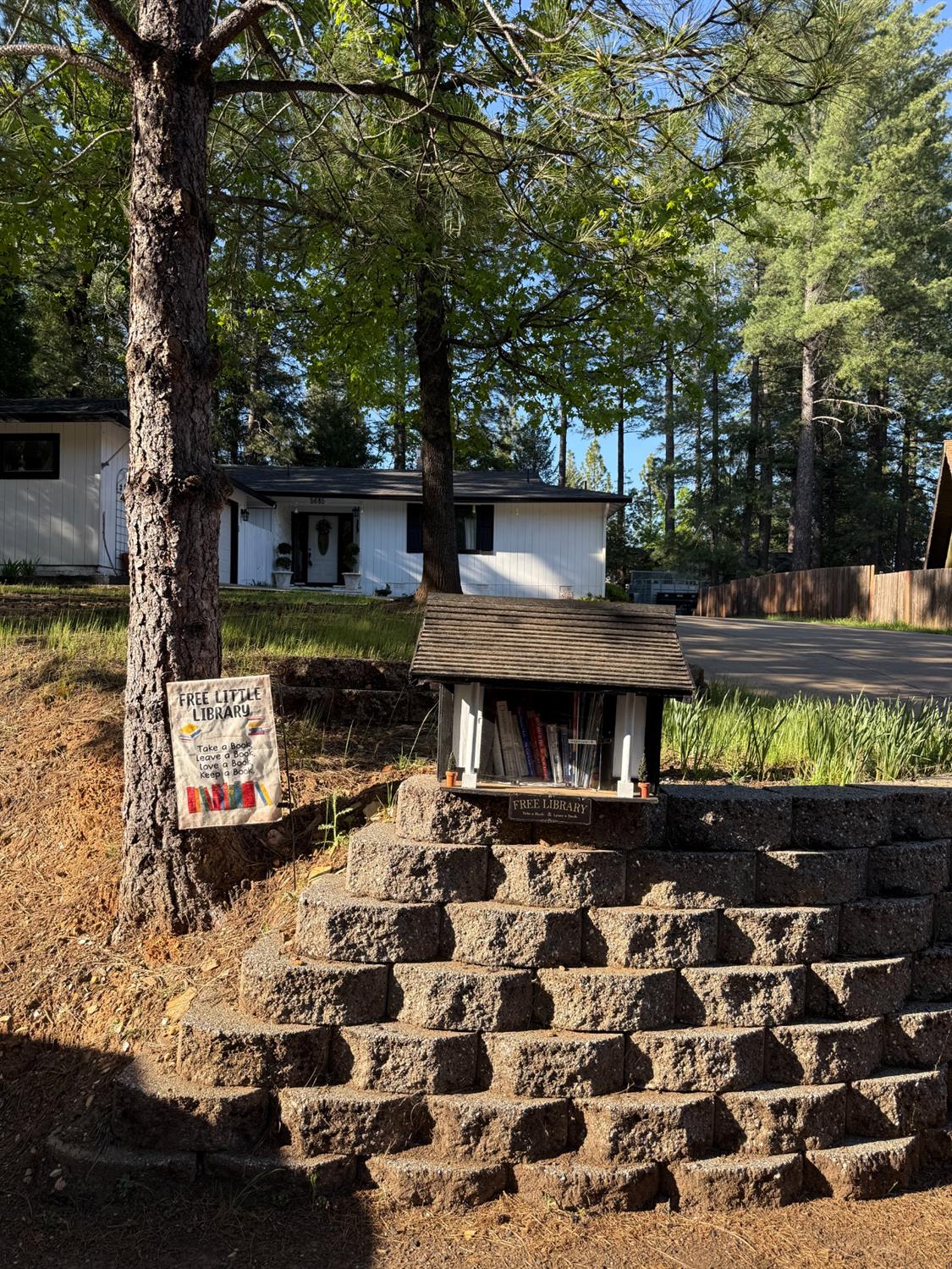 Daisy Circle, Pollock Pines, California image 32