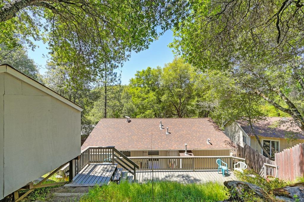 Pigeon Trail, River Pines, California image 43