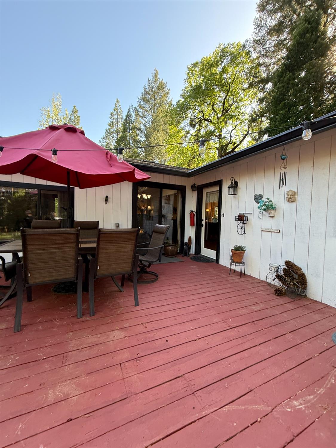 Daisy Circle, Pollock Pines, California image 24