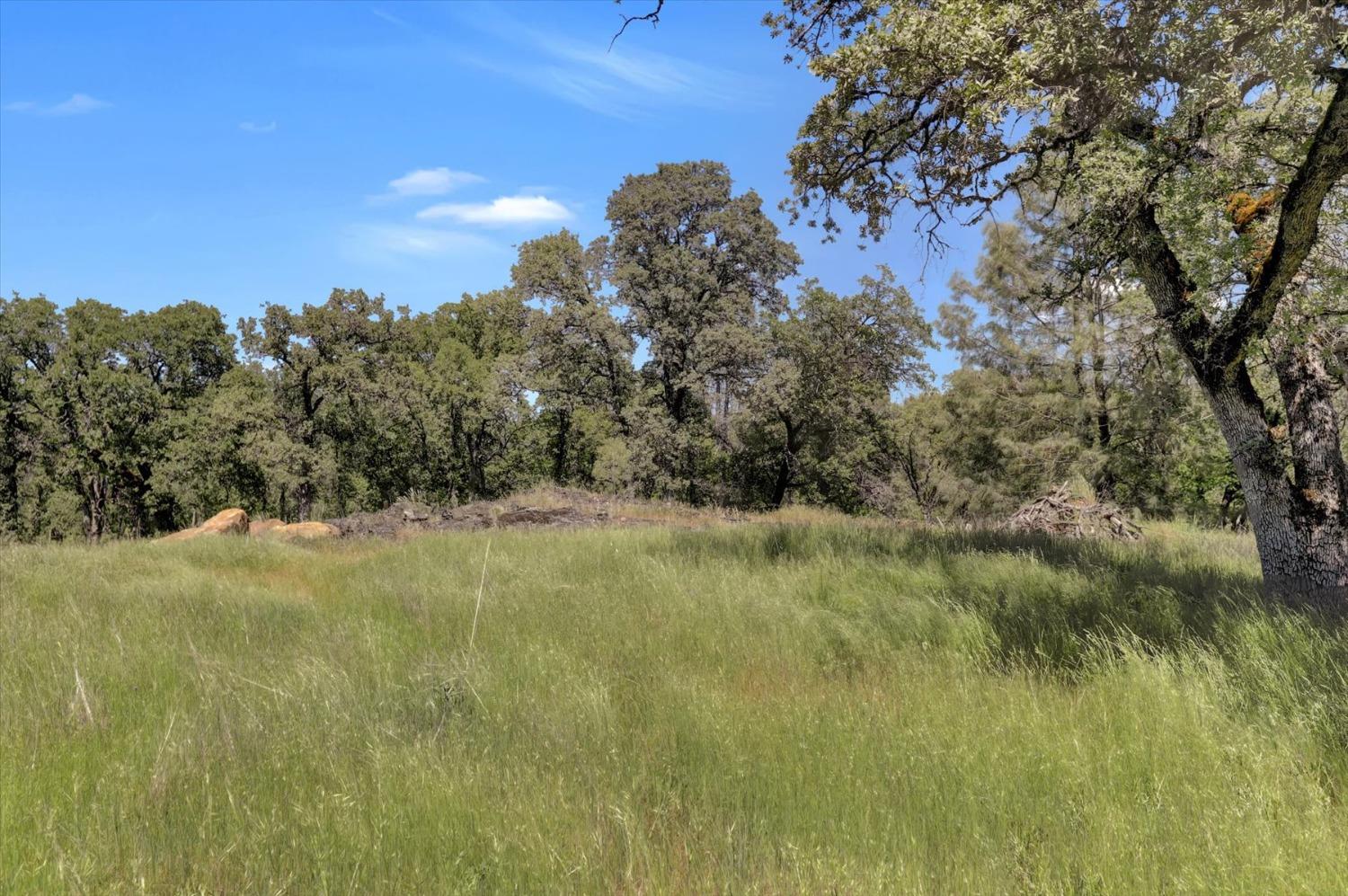 Retherford Road, Grass Valley, California image 45