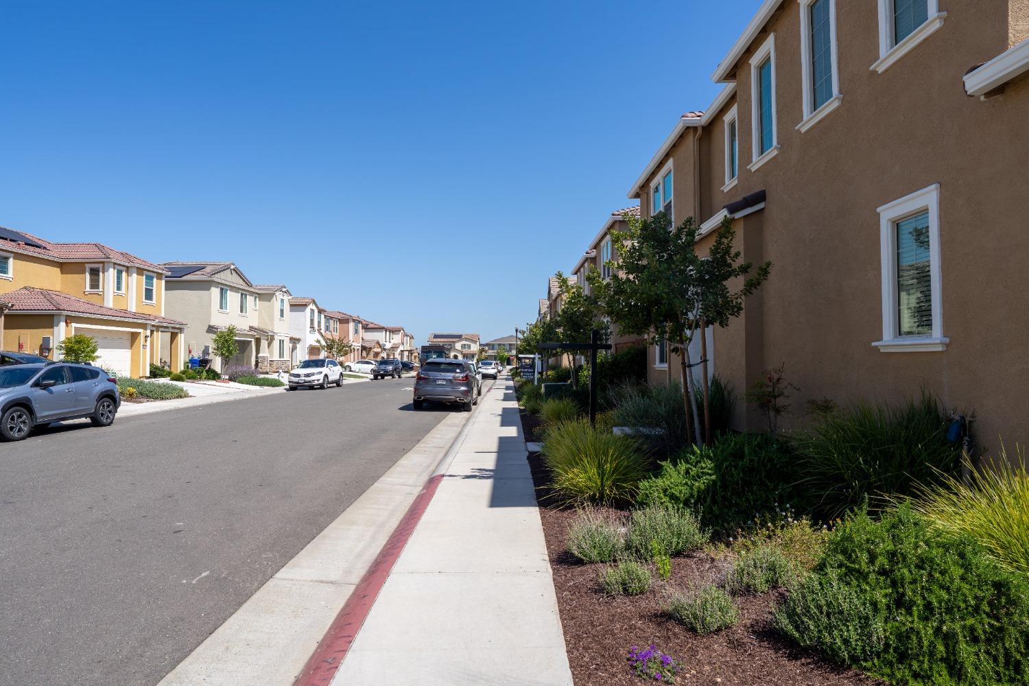 Tenor Way, Elk Grove, California image 4