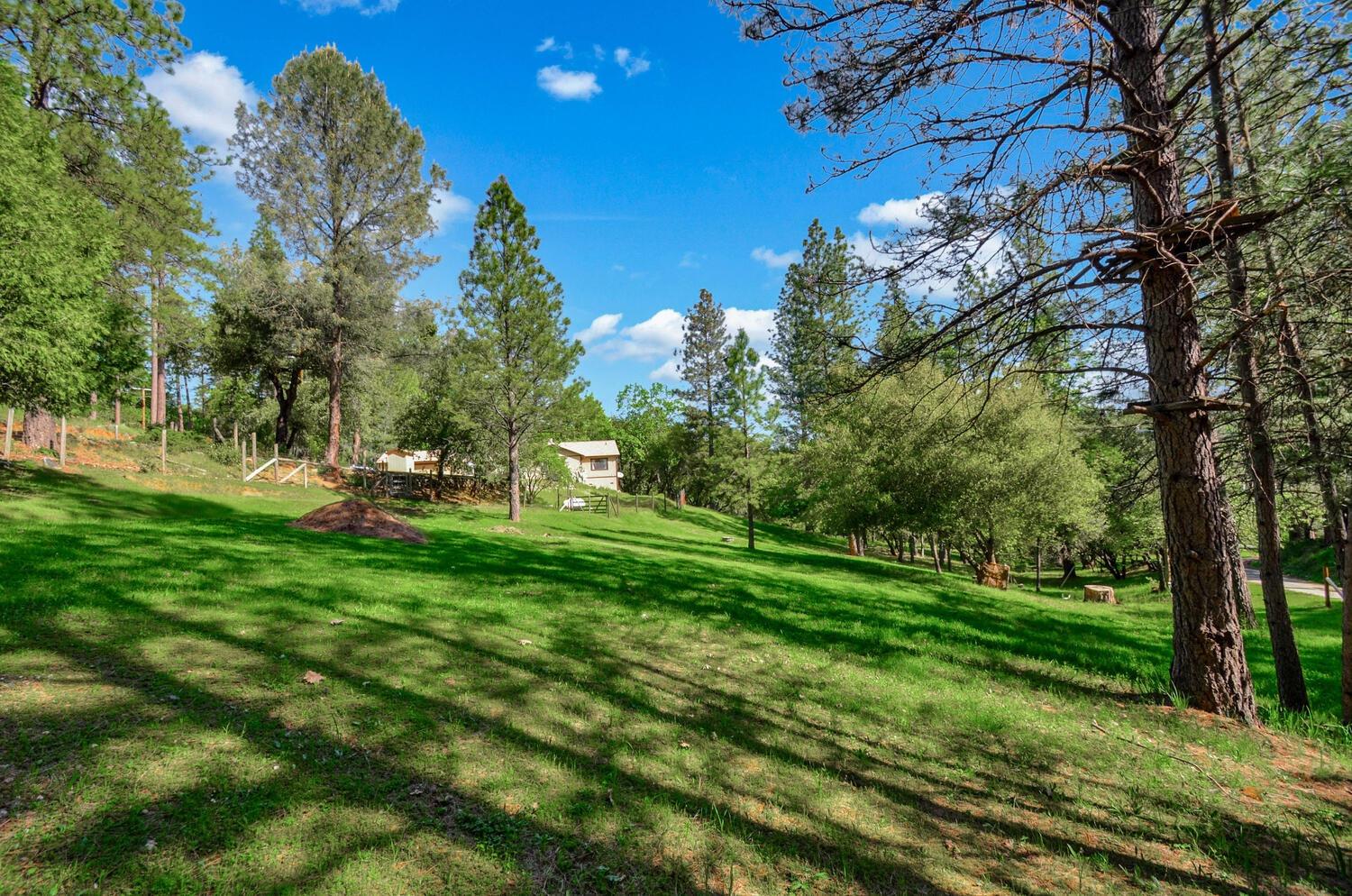 Meadow Road, Sutter Creek, California image 42