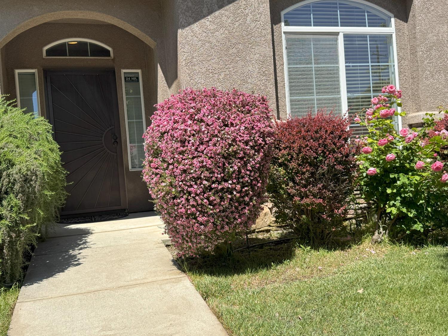 San Niccolo Drive, Yuba City, California image 21