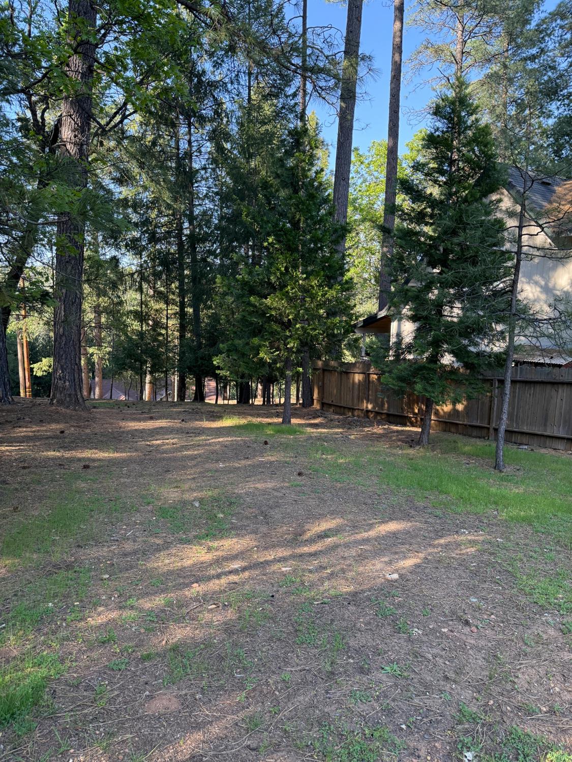 Daisy Circle, Pollock Pines, California image 26