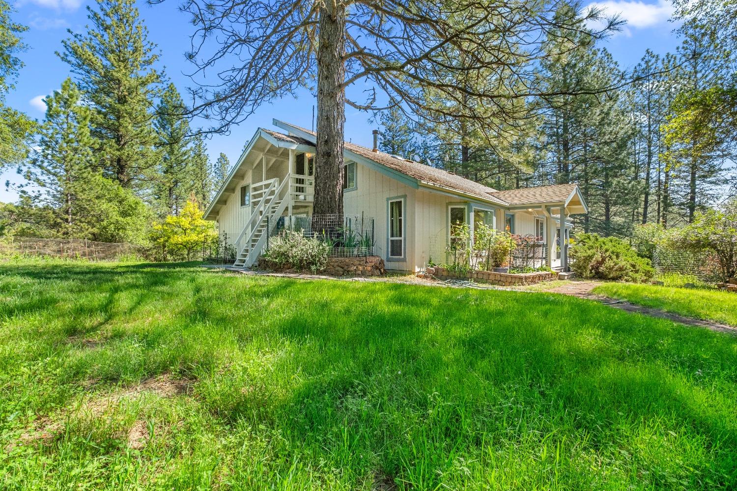 Detail Gallery Image 5 of 79 For 16080 Mount Whitney Dr, Fiddletown,  CA 95629 - 3 Beds | 2 Baths