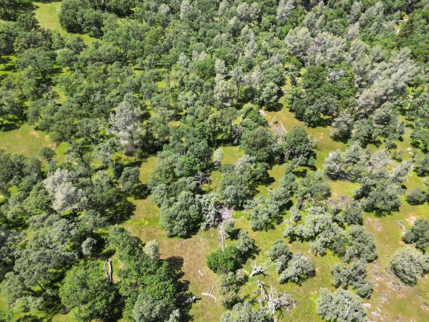 Retherford Road, Grass Valley, California image 23