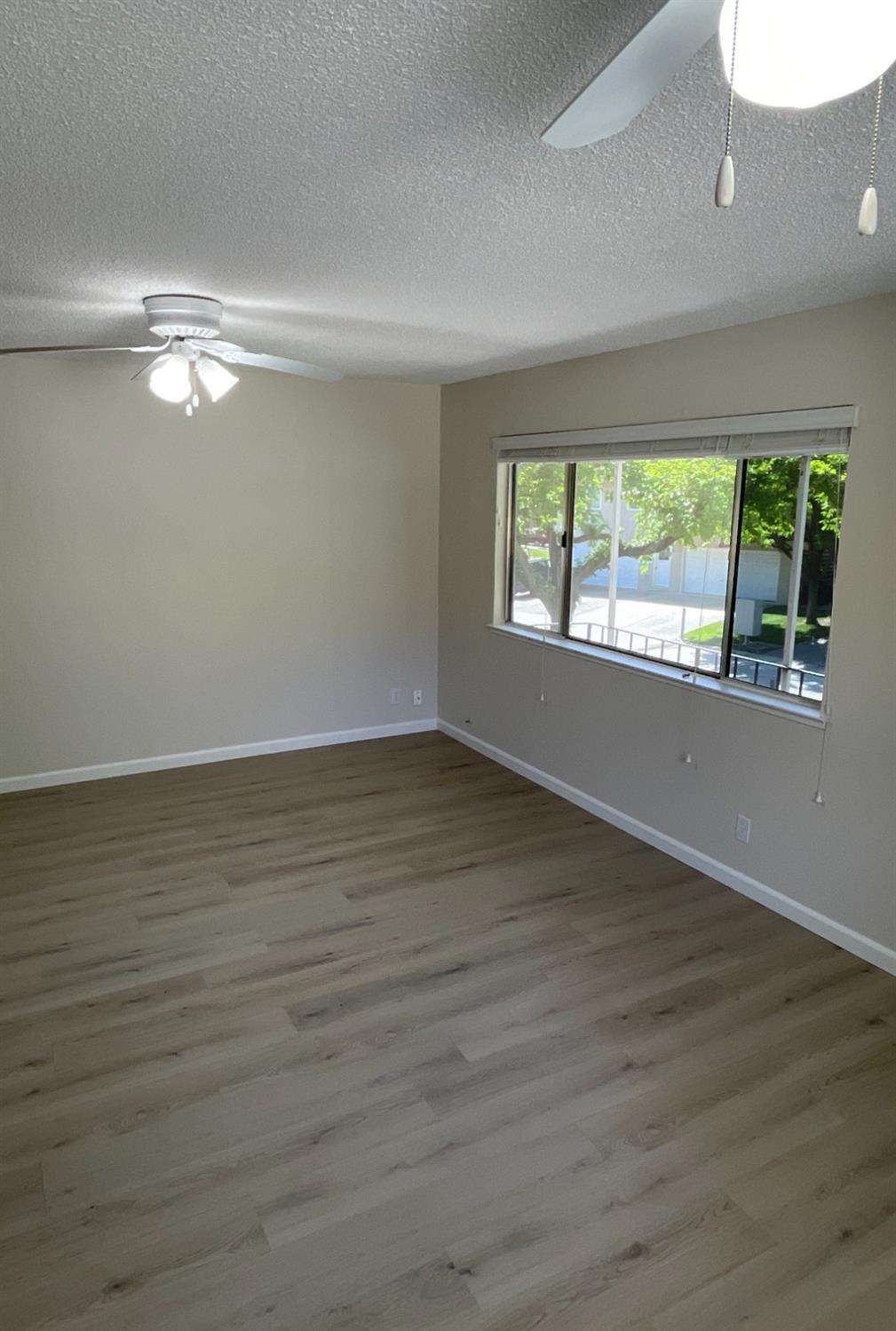 Photo #6: 225056629 Listing: Photo #6