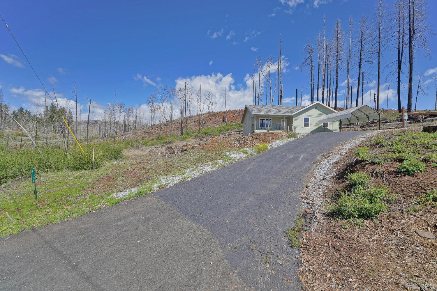 Parkside Drive, Grizzly Flats, California image 6