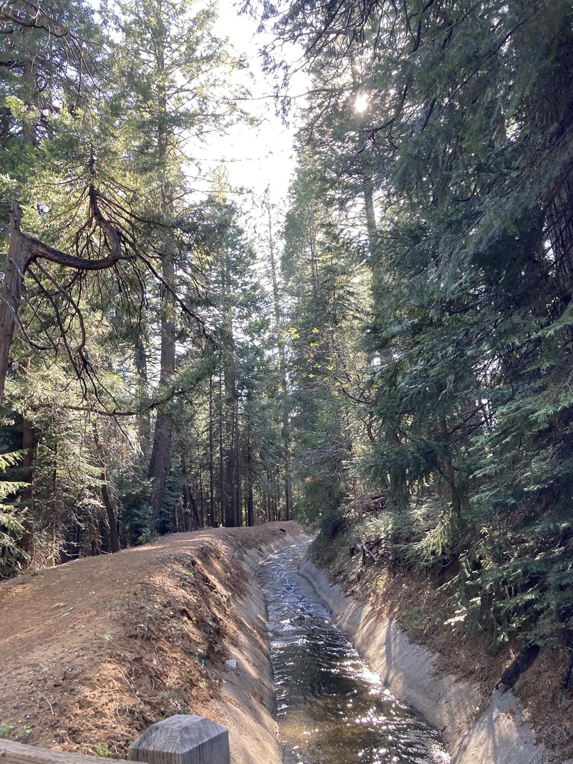 Sugar Pine Road, Alta, California image 17