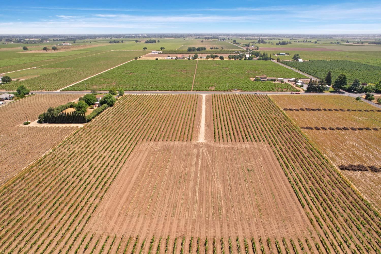 Devries, Lodi, California image 6