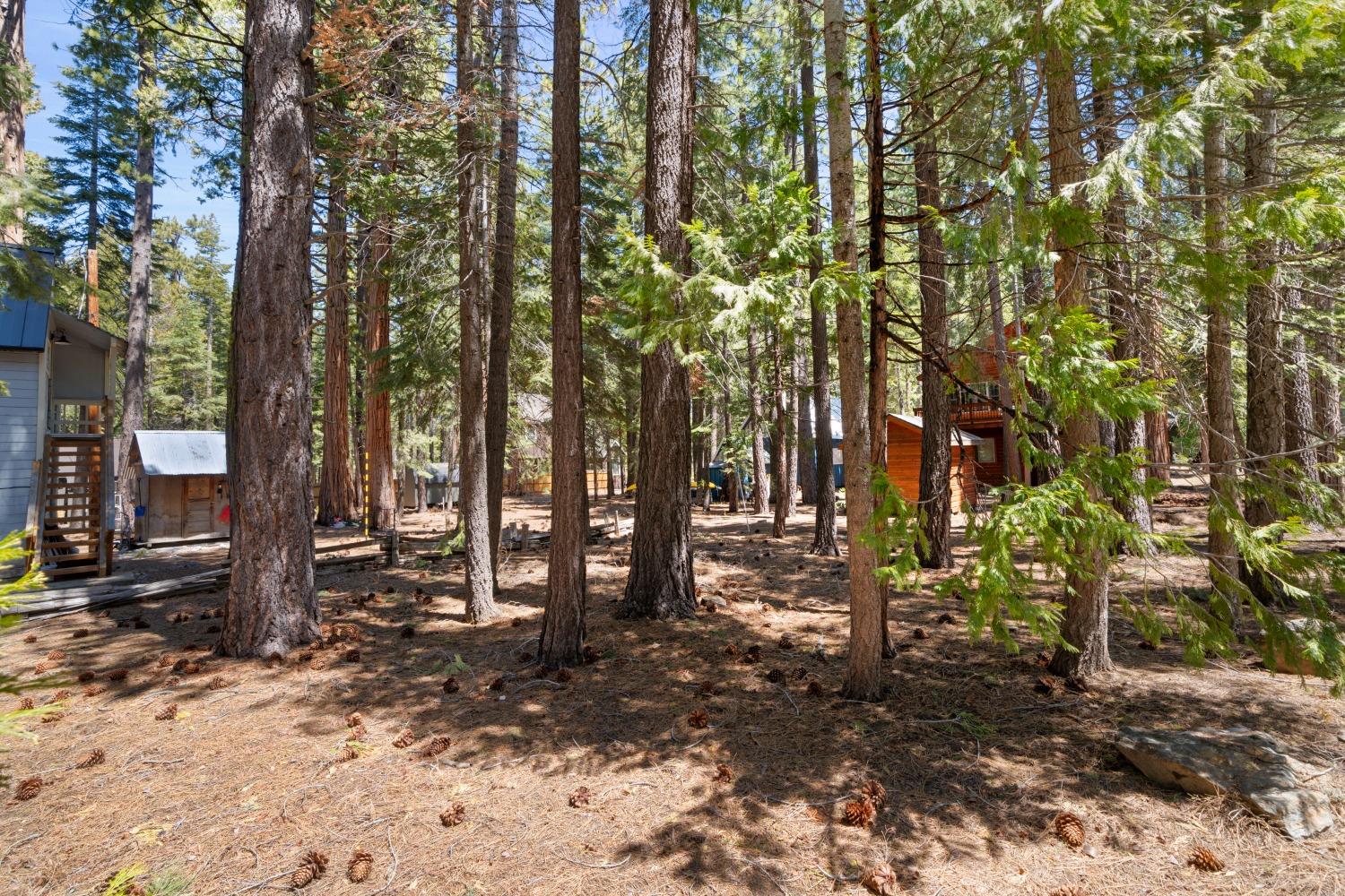 3rd Avenue, Tahoma, California image 6