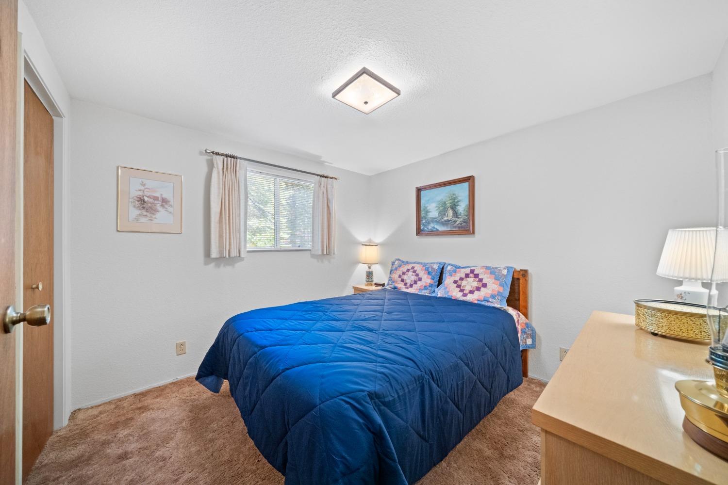 3rd Avenue, Tahoma, California image 28