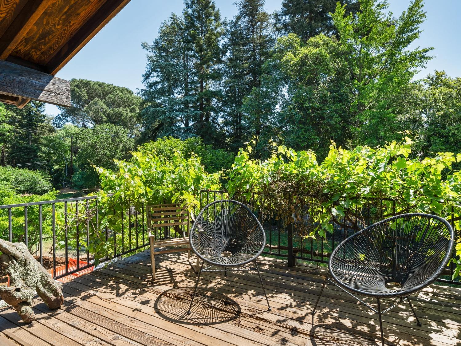 Detail Gallery Image 36 of 81 For 43236 E Oakside Pl, Davis,  CA 95618 - 3 Beds | 3 Baths