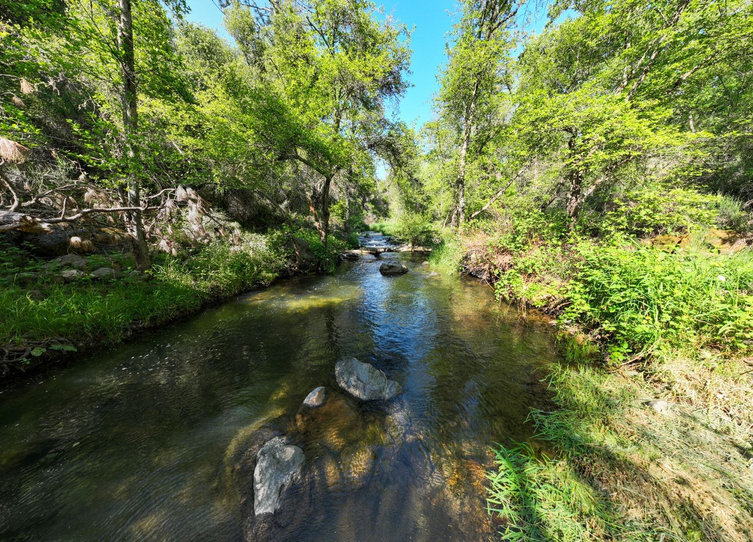 Tom Ray Dr, Grass Valley, California image 35