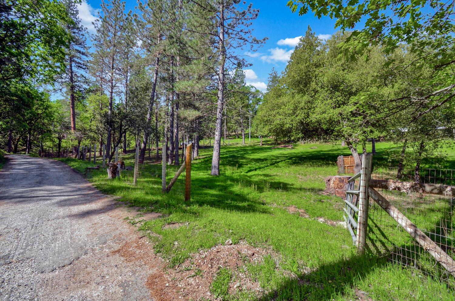 Meadow Road, Sutter Creek, California image 40