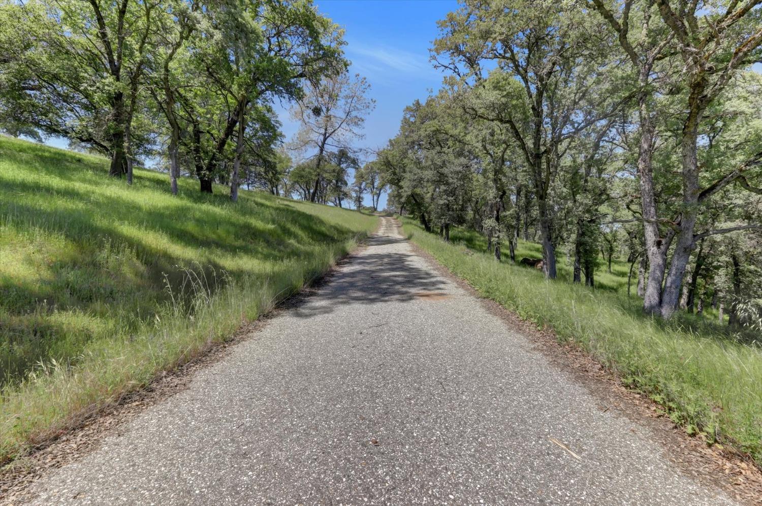 Retherford Road, Grass Valley, California image 33