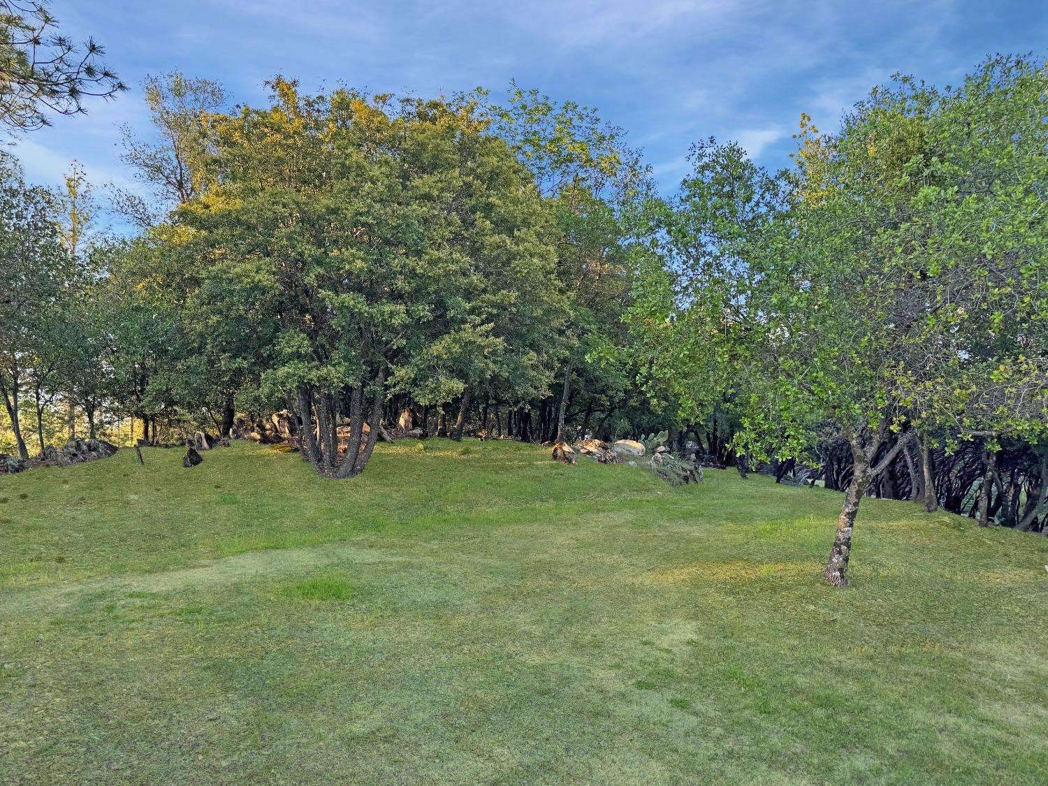 Birchville Road, Nevada City, California image 26