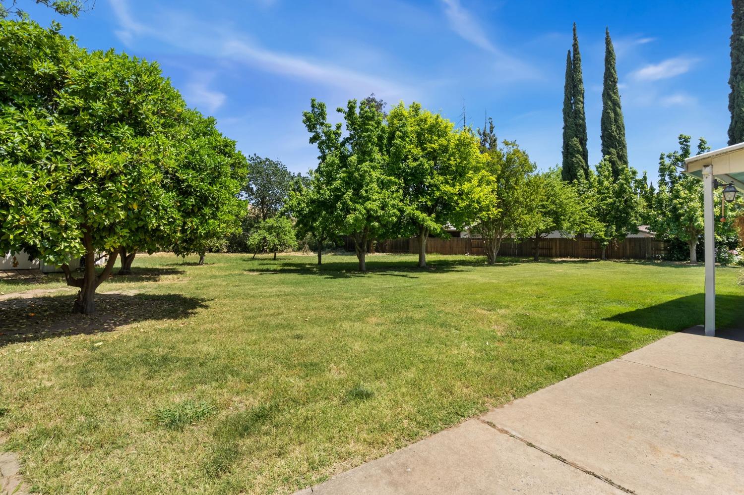 Bettina Way, Sacramento, California image 31