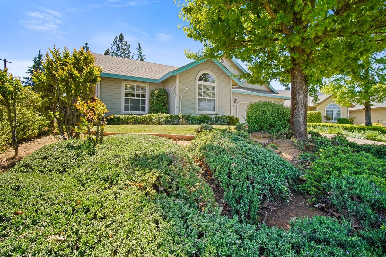 Carla Drive, Placerville, California image 1