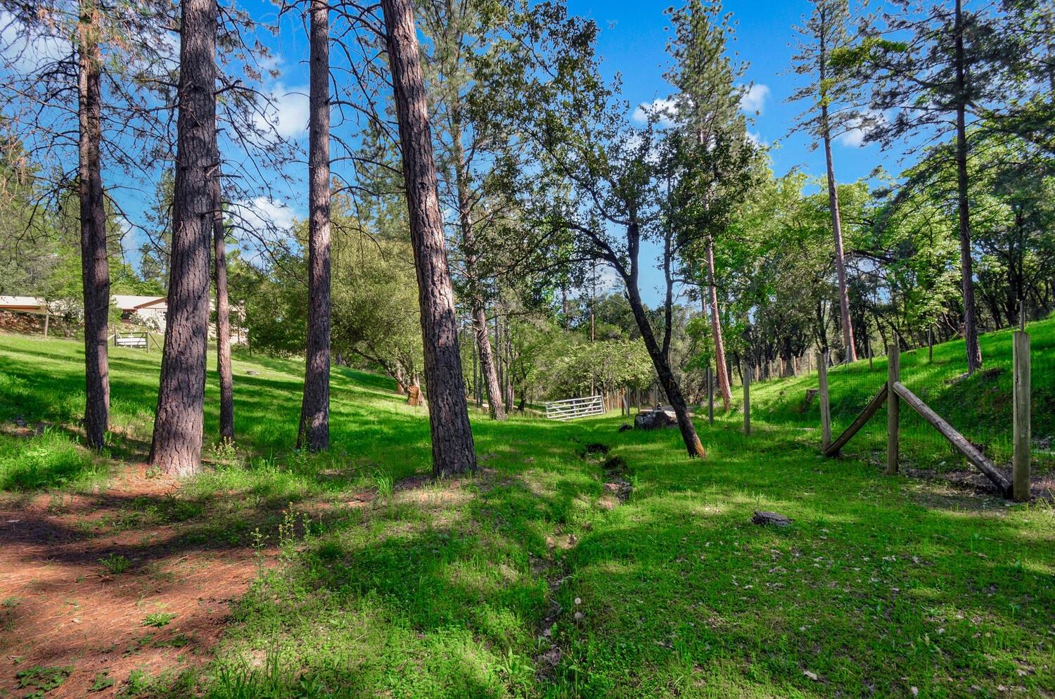 Meadow Road, Sutter Creek, California image 43