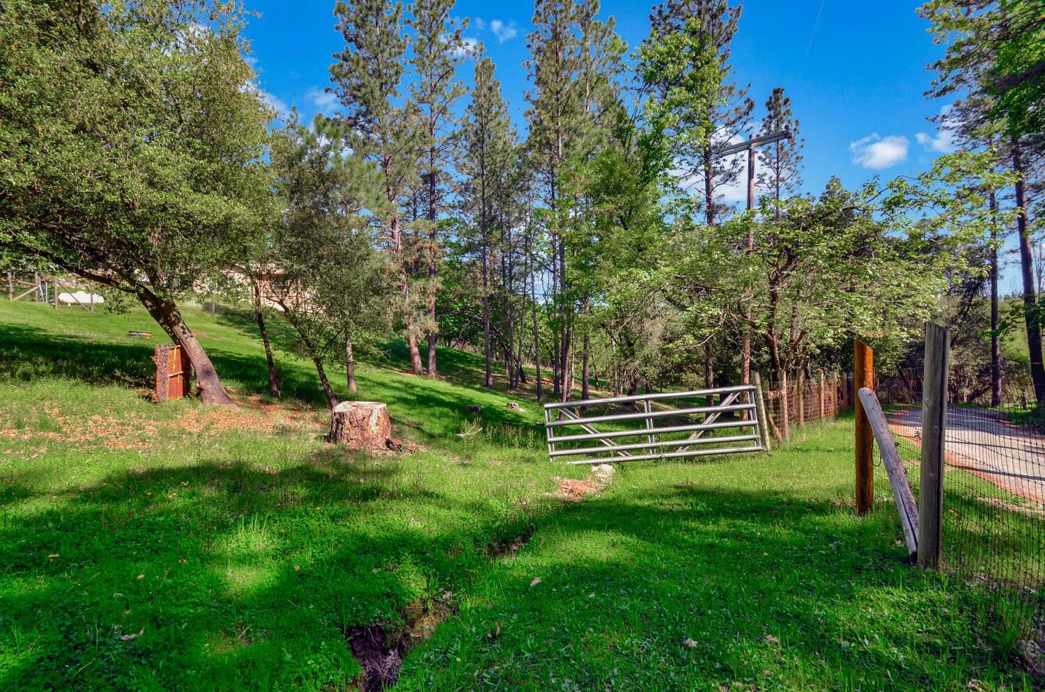 Meadow Road, Sutter Creek, California image 45