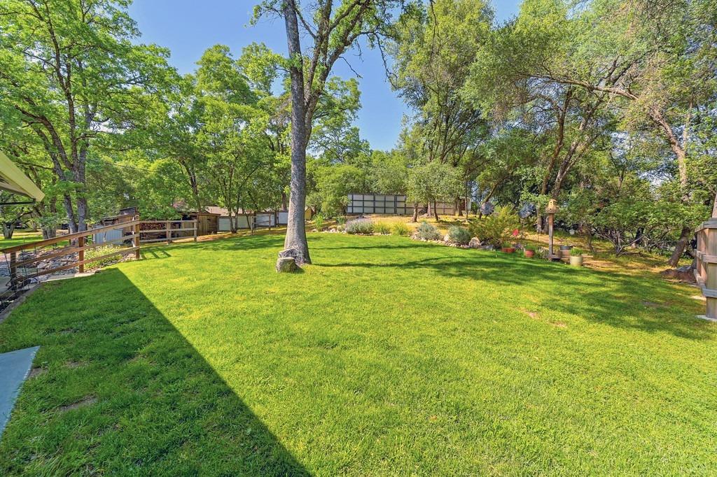 Detail Gallery Image 66 of 73 For 3200 Roughwood Rd, Shingle Springs,  CA 95682 - 3 Beds | 3 Baths