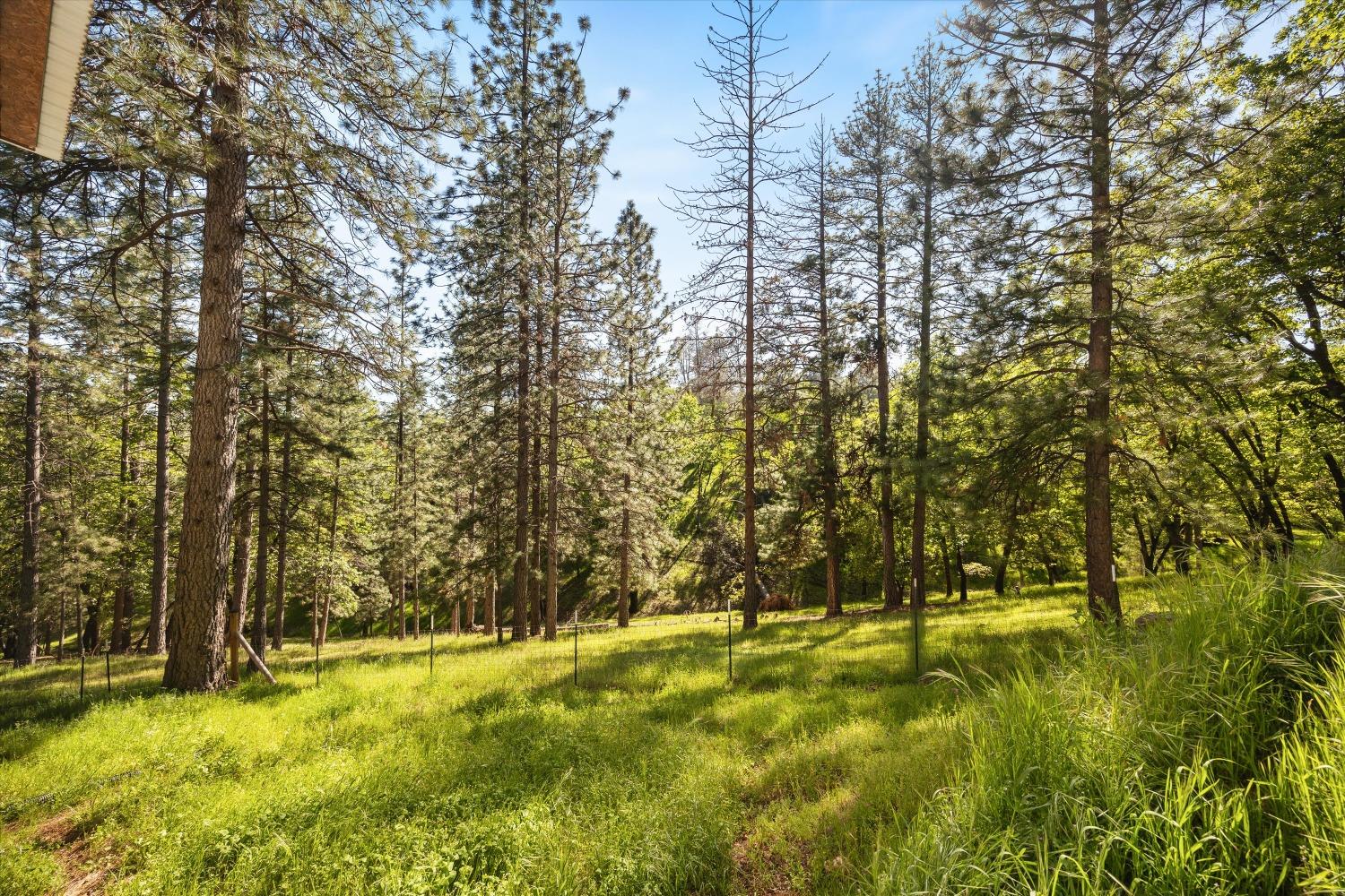 Kruk Trail, Placerville, California image 42