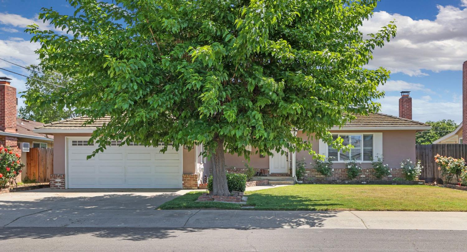 Vista Drive, Lodi, California image 2