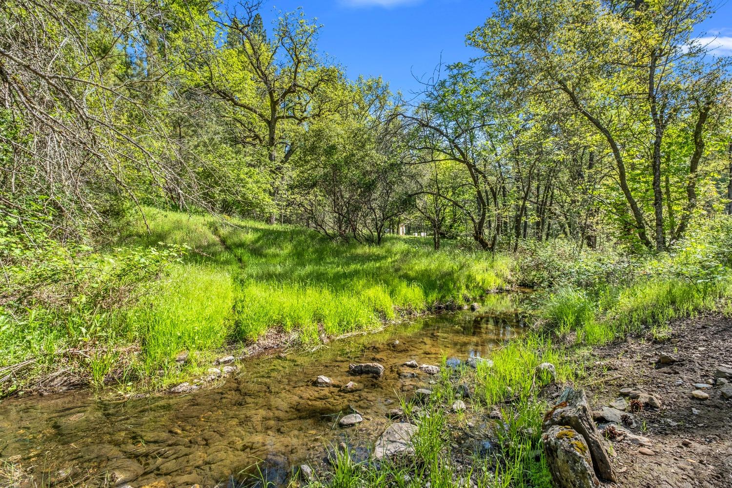 Detail Gallery Image 65 of 79 For 16080 Mount Whitney Dr, Fiddletown,  CA 95629 - 3 Beds | 2 Baths