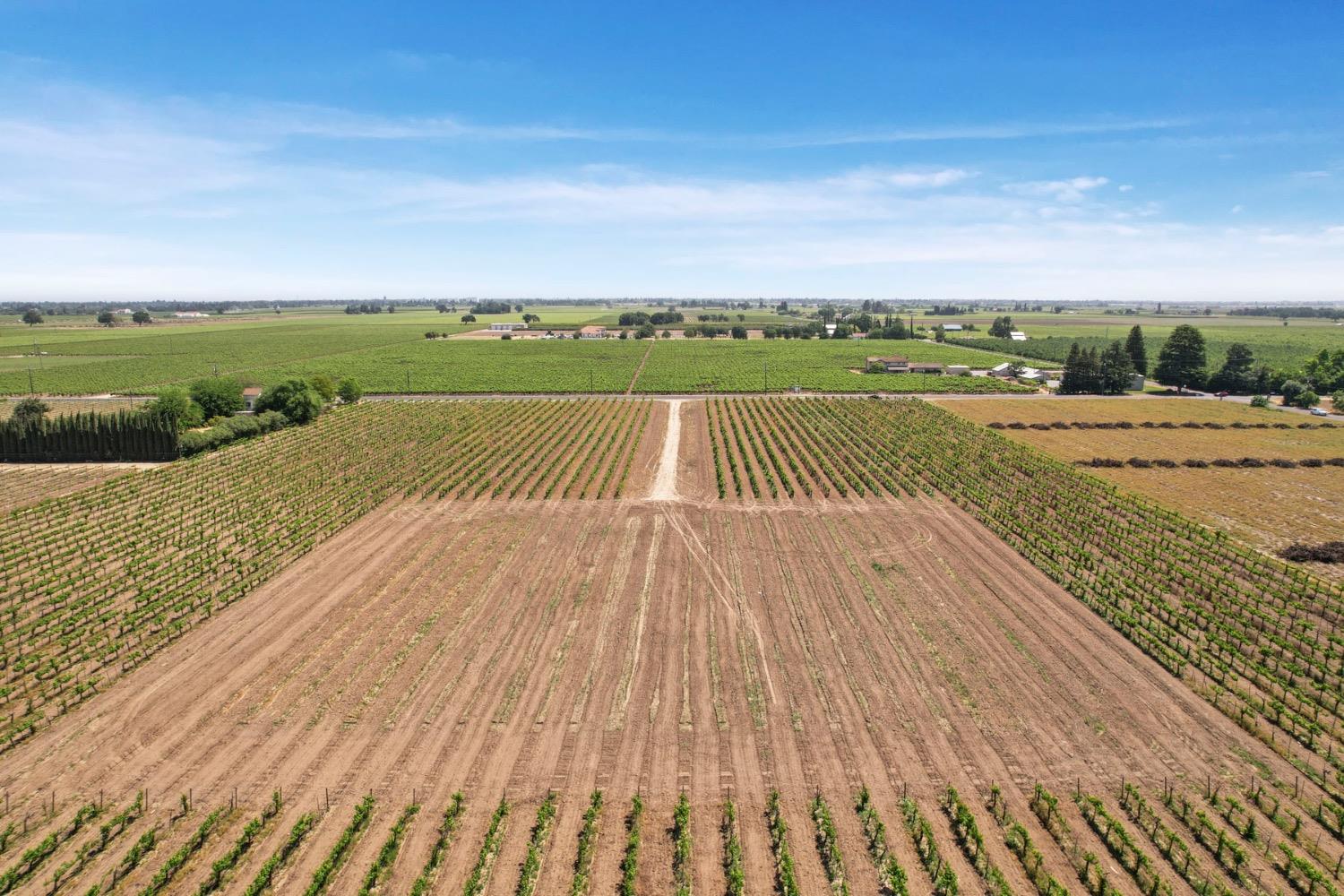Devries, Lodi, California image 7