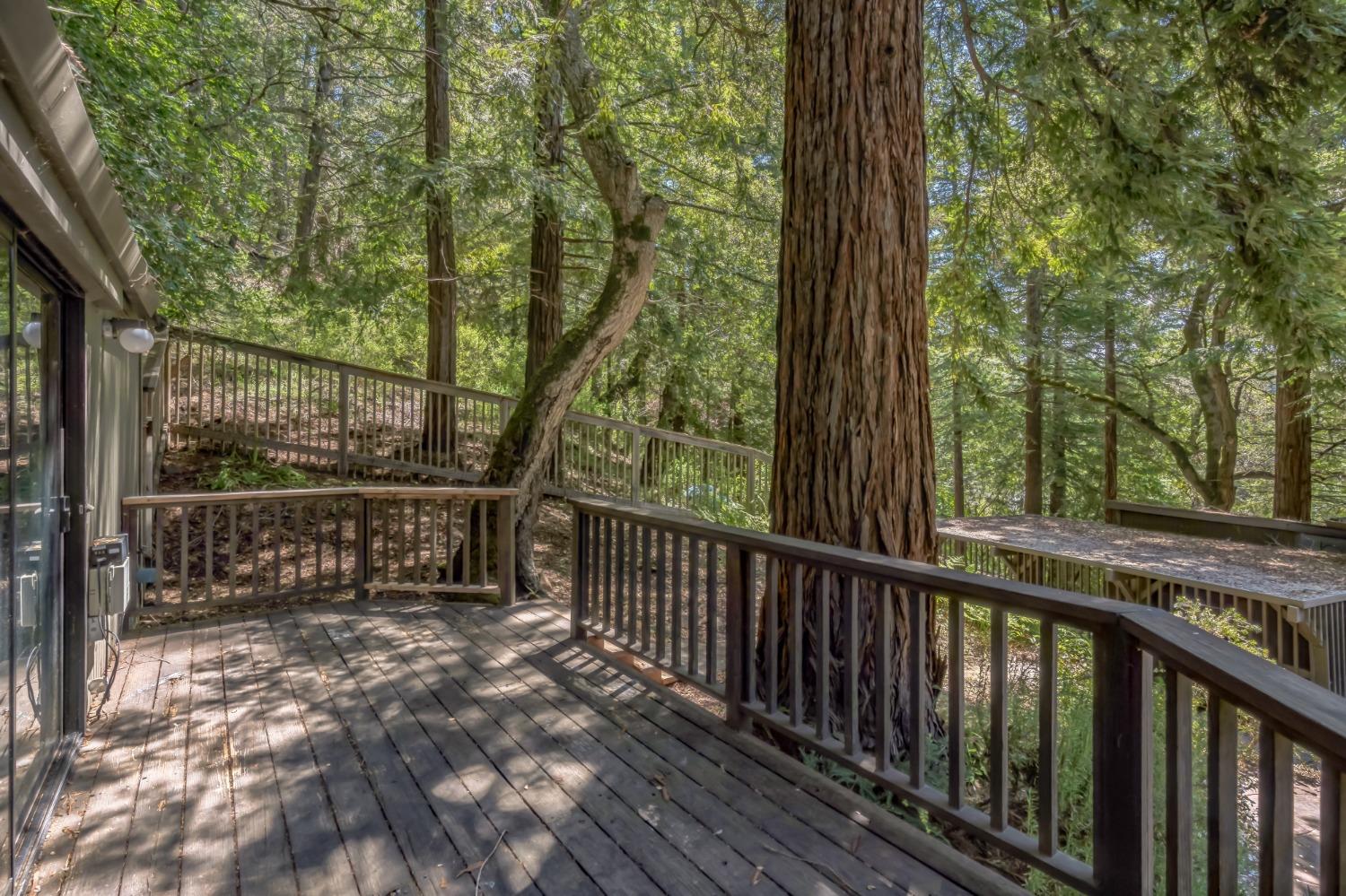 Highland Drive, Boulder Creek, California image 7