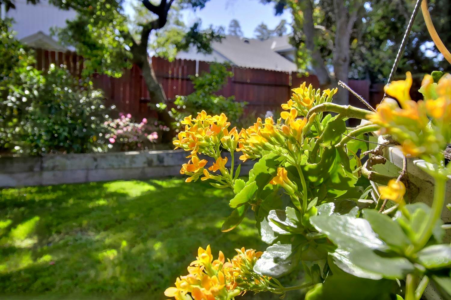 Detail Gallery Image 63 of 66 For 5126 Pleasantglen Way, Elk Grove,  CA 95758 - 3 Beds | 2/1 Baths